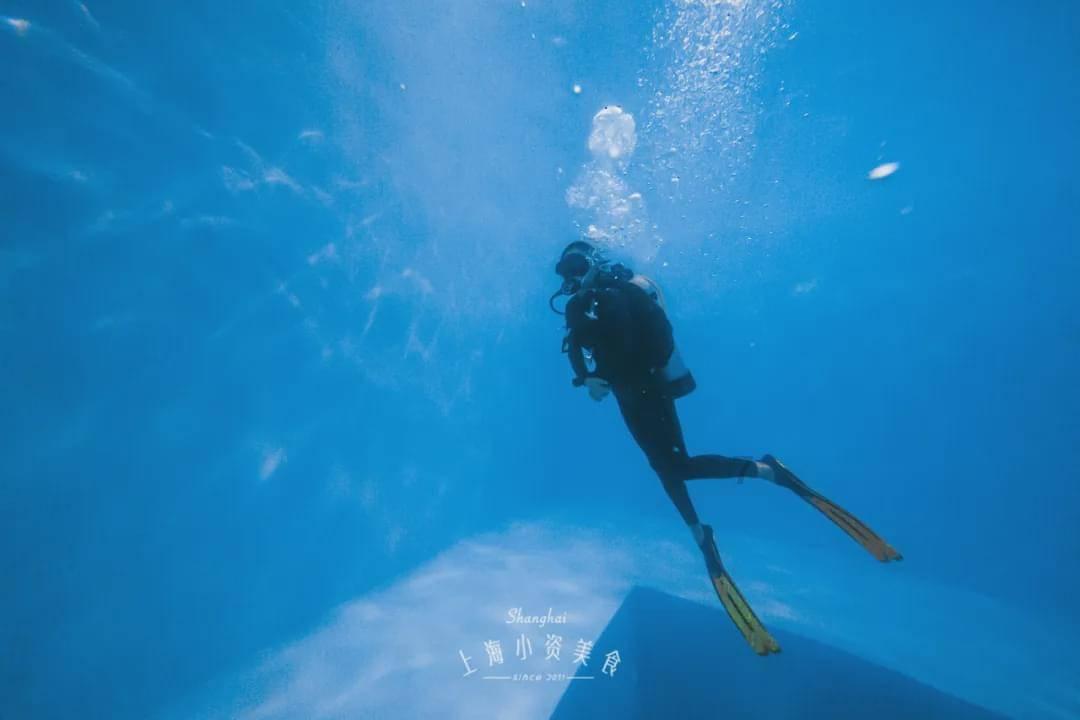 救援鹦鹉